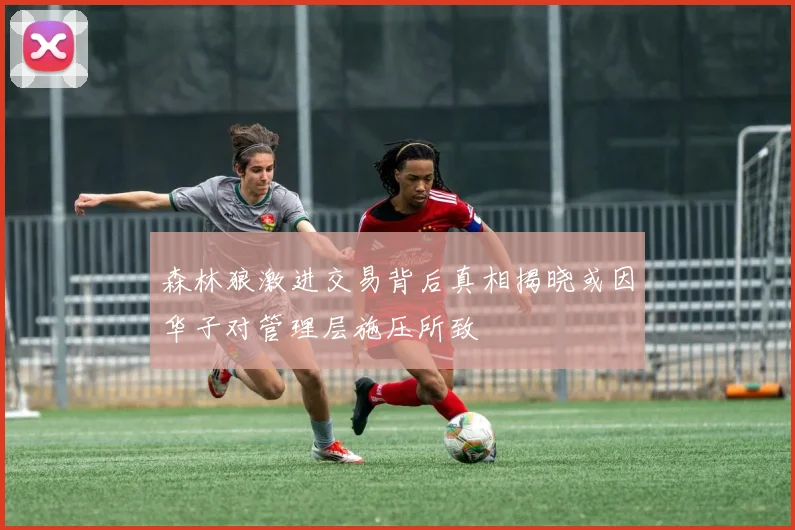森林狼激进交易背后真相揭晓或因华子对管理层施压所致